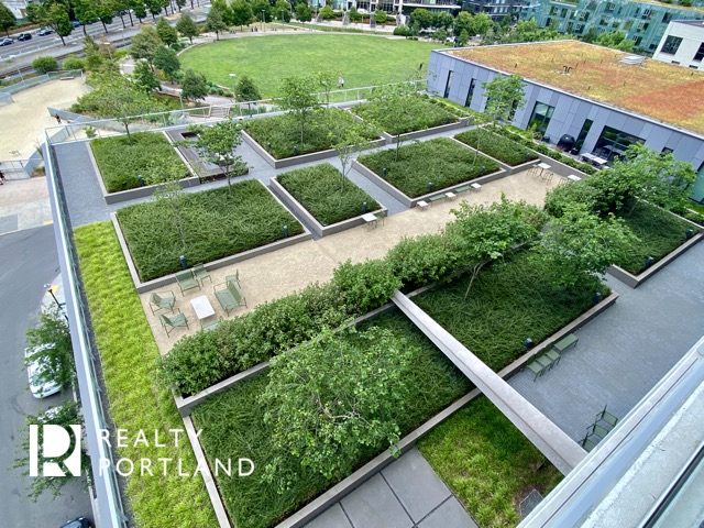 Vista North Pearl Roof Deck